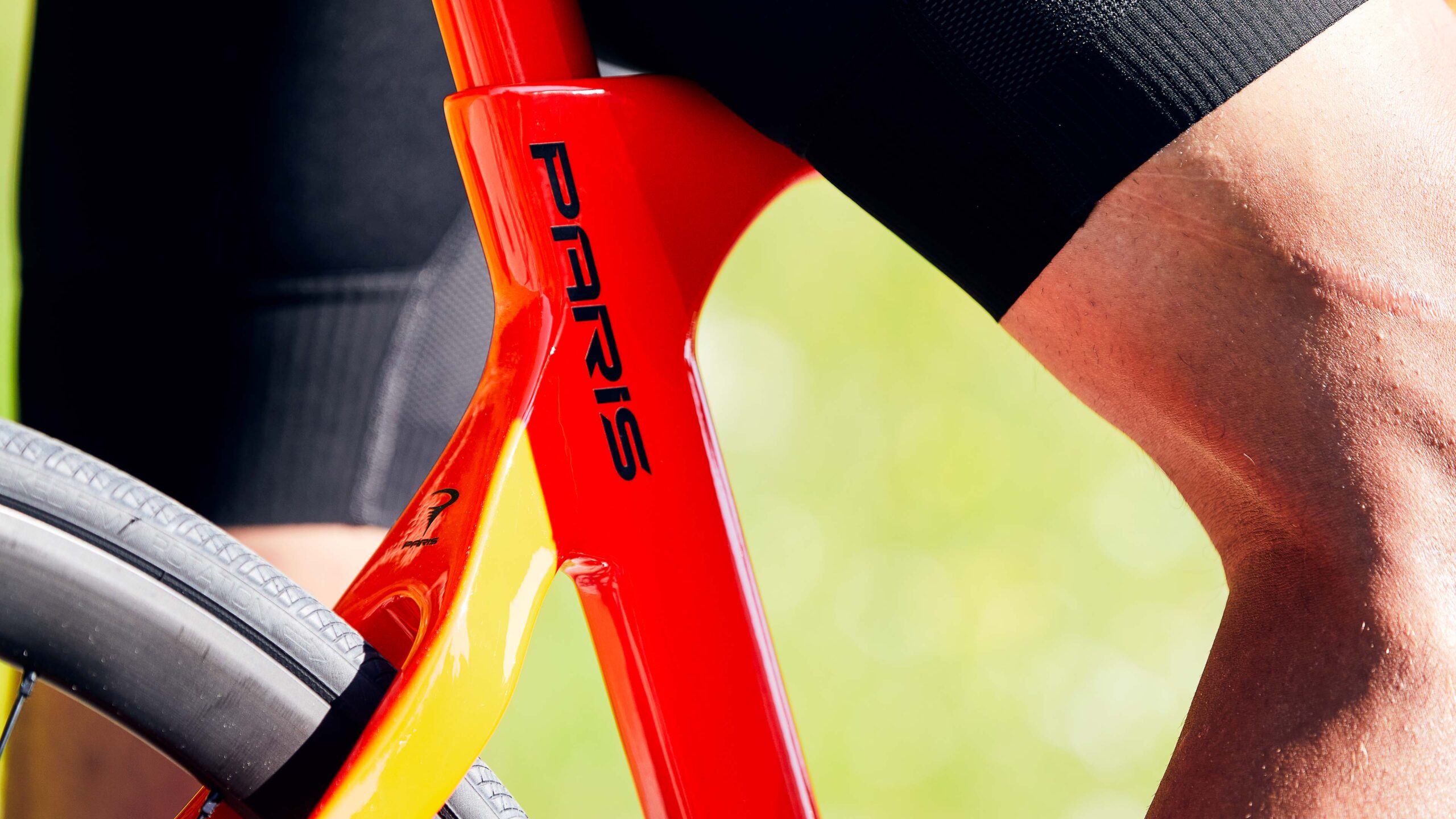 PINARELLO PARIS フレーム ピナレロ 自転車 自転車本体 玄関先迄納品 