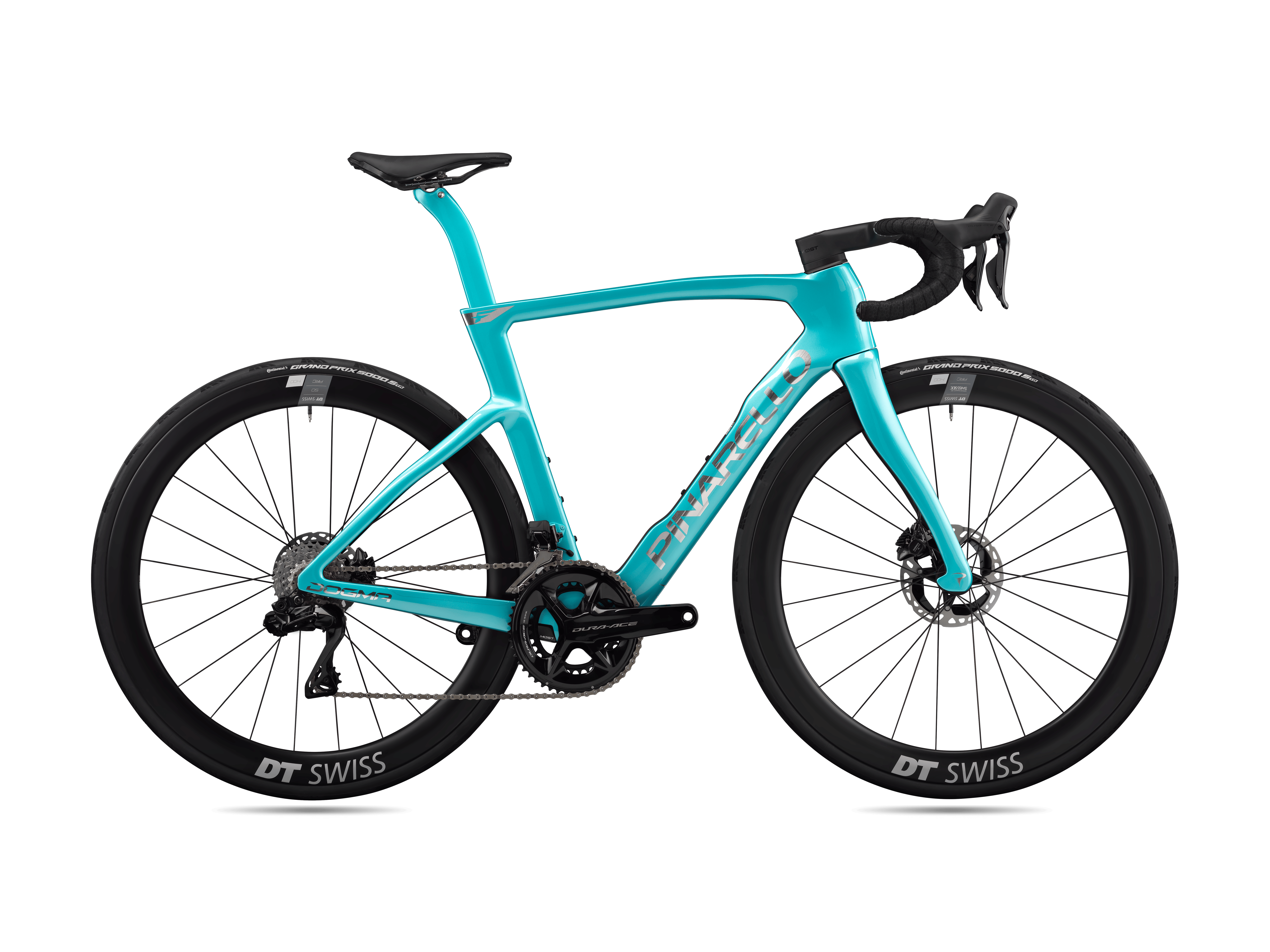dogma luxter turquoise